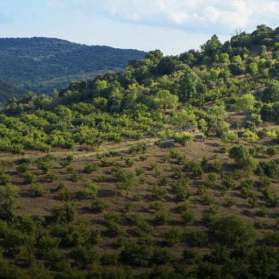 Paisaje