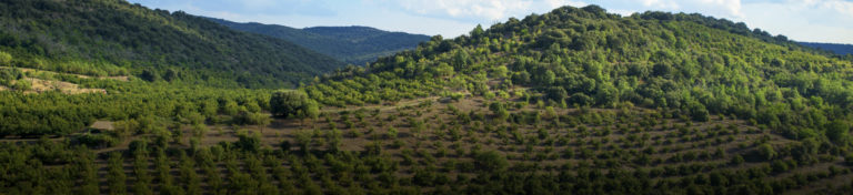 Paisaje