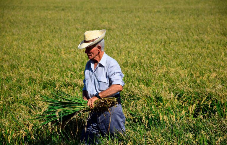 Proteger las zonas rurales despobladas del deterioro comercial alimentario