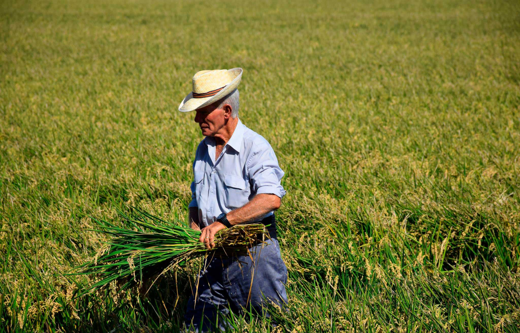 Proteger las zonas rurales despobladas del deterioro comercial alimentario