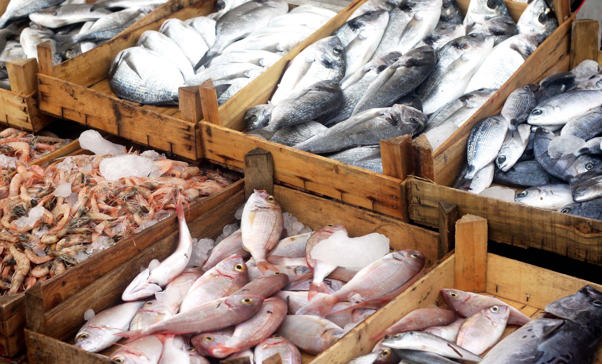 «Como una gran familia»: los vínculos sociales de las vendedoras de pescado en los mercados municipales de Mallorca