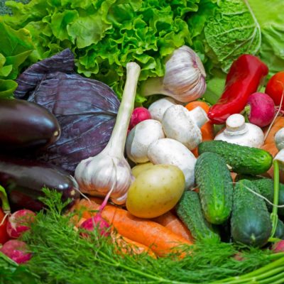 ix Congreso internacional de agroecología