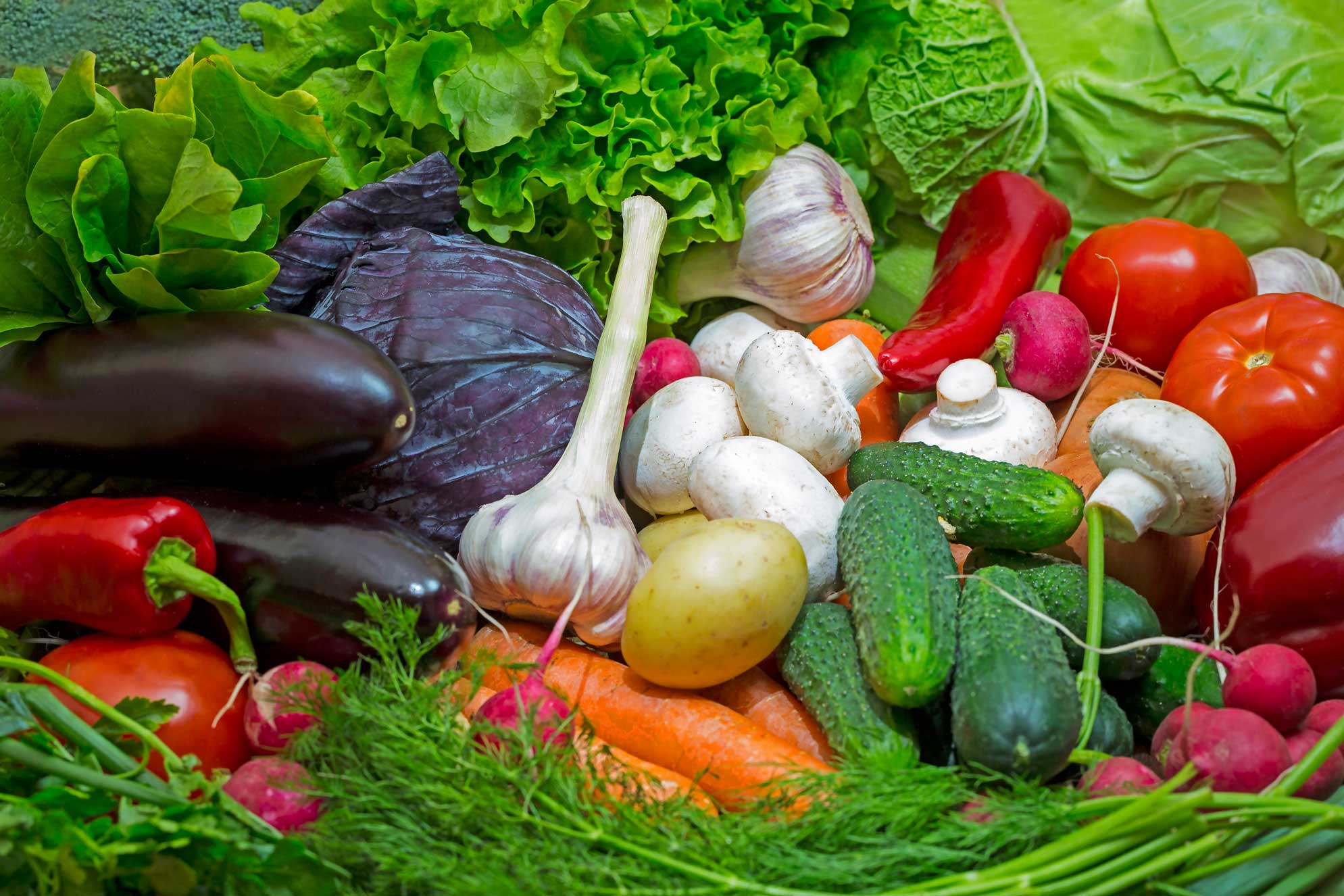 ix Congreso internacional de agroecología