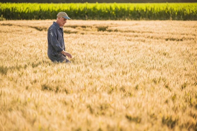 Soluciones al relevo generacional en el campo y el mar