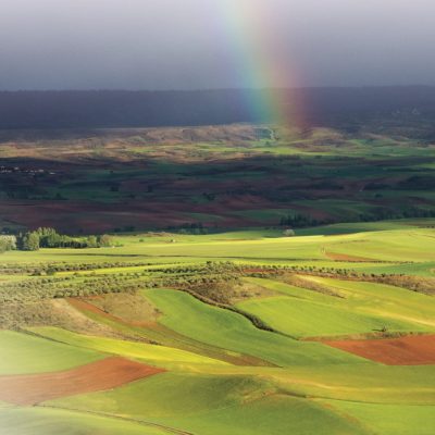 Agricultura y biodiversidad