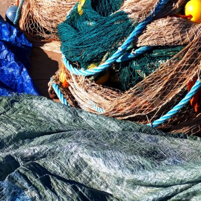 Adhesiones al Manifiesto por una Pesca Sostenible en España