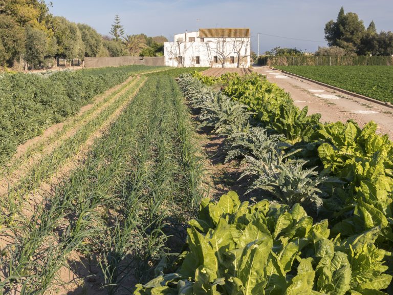Compra pública de alimentaria responsable