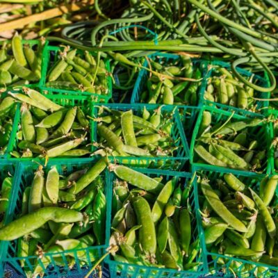 Webinar: «Por las legumbres, la proteína más inteligente»