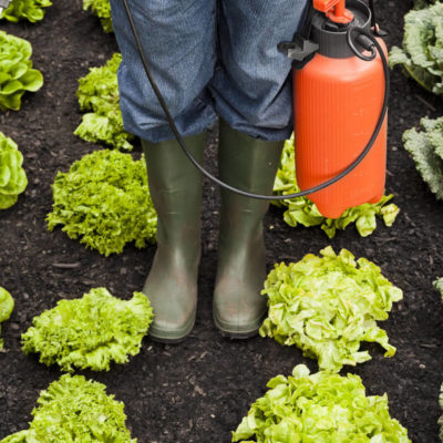 Agricultura con pesticidas