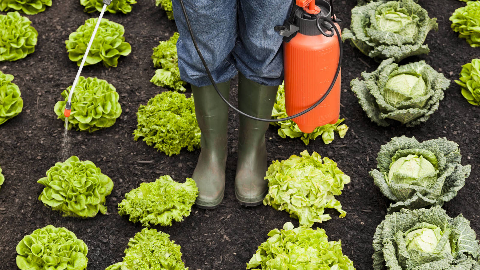 Agricultura con pesticidas